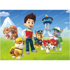 PAW PATROL - 4