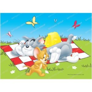 TOM & JERRY 4